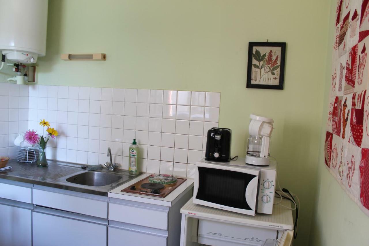 Appartement Val De Saone Seurre Экстерьер фото